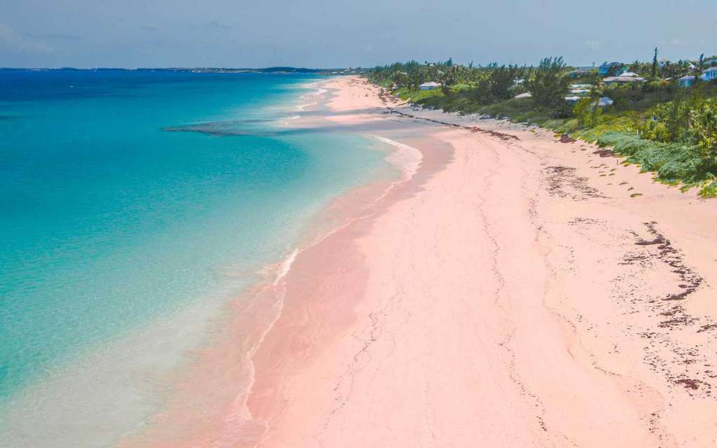 Pink Sands Beach Bahamas
